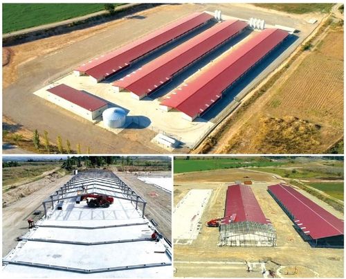 τελευταία εταιρεία περί Τρεις νέοι κτηνοτροφικοί σταθμοί του 3ου σταδίου κατασκευής αίθουσας πάχυνσης κοτόπουλων με χωρητικότητα περίπου 147000 κοτόπουλων.