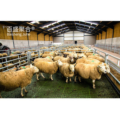 Προσαρμόσιμο C.Z σχήμα ατσάλινο κανάλι Purlin Sheep Shed Σπίτι για τη διαχείριση των ζώων
