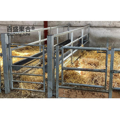 Προσαρμόσιμο C.Z σχήμα ατσάλινο κανάλι Purlin Sheep Shed Σπίτι για τη διαχείριση των ζώων