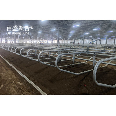 Γρήγορα ανεγέρθηκε Q235 Low Carbon Steel Cowshed με ανοχή ± 1% Επαγγελματικά σχεδιασμένο