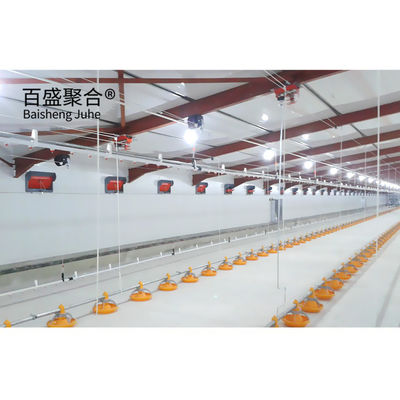 Hot Dip Galvanised C.Z Shape Steel Channel Prefabricated Chicken House for Poultry Farm (Προπαρασκευασμένο σπίτι κοτόπουλου για κτηνοτροφία)