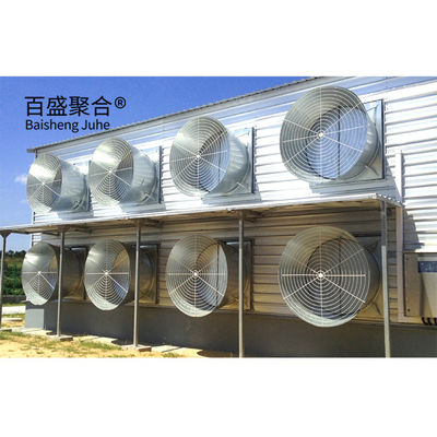 Hot Dip Galvanised C.Z Shape Steel Channel Prefabricated Chicken House for Poultry Farm (Προπαρασκευασμένο σπίτι κοτόπουλου για κτηνοτροφία)