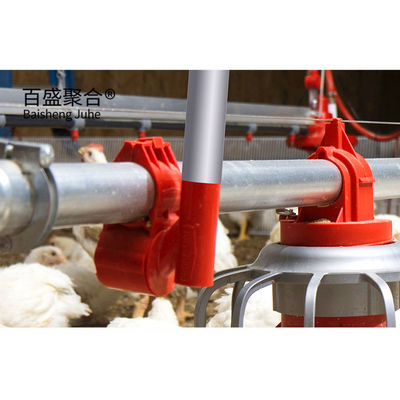Hot Dip Galvanised C.Z Shape Steel Channel Prefabricated Chicken House for Poultry Farm (Προπαρασκευασμένο σπίτι κοτόπουλου για κτηνοτροφία)