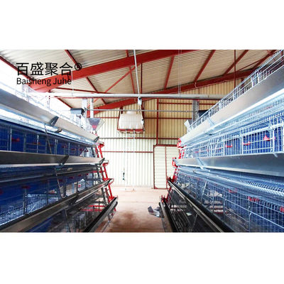 Hot Dip Galvanised C.Z Shape Steel Channel Prefabricated Chicken House for Poultry Farm (Προπαρασκευασμένο σπίτι κοτόπουλου για κτηνοτροφία)