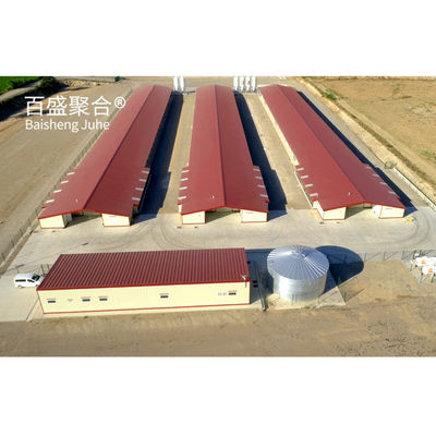Hot Dip Galvanised C.Z Shape Steel Channel Prefabricated Chicken House for Poultry Farm (Προπαρασκευασμένο σπίτι κοτόπουλου για κτηνοτροφία)