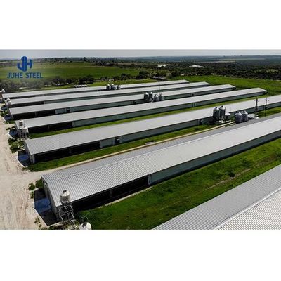 Προσαρμοσμένο εξοπλισμό εκτροφής πουλερικών από χάλυβα για το σχεδιασμό και την κατασκευή κοτόπουλου