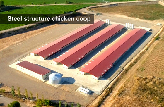 Steel Farming Prefabricated Poultry Farm Construction with Chicken Cages and Metal Sheds Σιδηροδρομική βιομηχανία