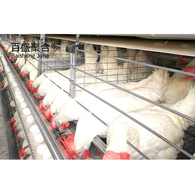 Steel Farming Prefabricated Poultry Farm Construction with Chicken Cages and Metal Sheds Σιδηροδρομική βιομηχανία