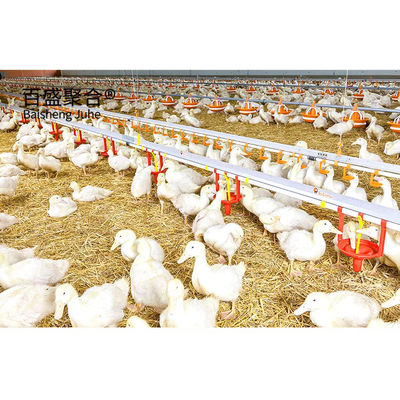 Steel Farming Prefabricated Poultry Farm Construction with Chicken Cages and Metal Sheds Σιδηροδρομική βιομηχανία