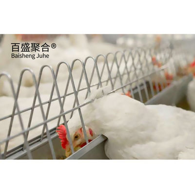 Steel Farming Prefabricated Poultry Farm Construction with Chicken Cages and Metal Sheds Σιδηροδρομική βιομηχανία