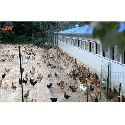 Steel Structure Design for Poultry Farm Shed and Industrial Building Barn Steel Farming Σιδηροδρομικό κτίριο για κτηνοτροφία