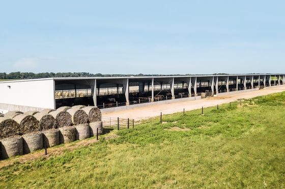 Q235/Q345B Grade Metal Farm Buildings With Living Quarters Prefabricated Riding Arenas Μεταλλικά κτίρια με κατοικίες