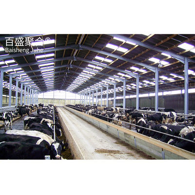 Steel Grade Cow Farm Structure Warehouse Building For Welding And Durable Processing Service Το κτίριο είναι κατασκευασμένο από χάλυβα και είναι γεμάτο με χάλυβα.