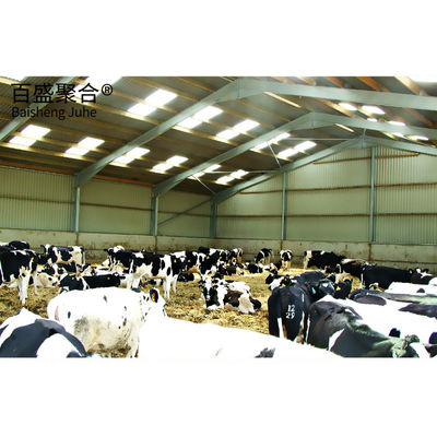 Διάρθρωση πλέγματος μακράς διάστασης Q235/Q345 Χαμηλού άνθρακα χάλυβα Προσυσκευασμένη χάλυβα δομή αγελαδινό υπόστεγο